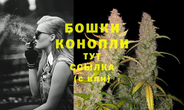соль ск Белокуриха