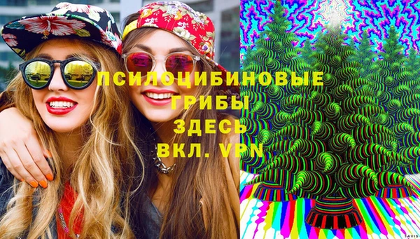 молекула духа Богородицк