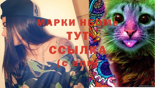 соль ск Белокуриха