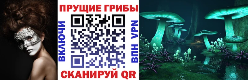KRAKEN ONION  Бологое  Псилоцибиновые грибы GOLDEN TEACHER 