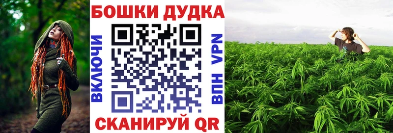 Шишки марихуана сатива Бологое